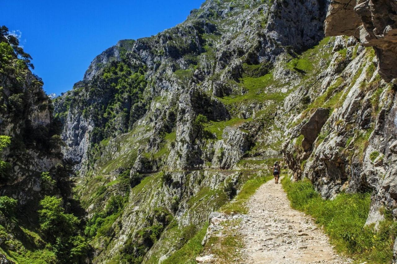 El Mirador De Meron Сан Висенте де ла Баркера Екстериор снимка